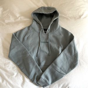 Alphalete Cropped Hoodie